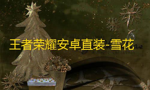 王者荣耀安卓直装-雪花辅助